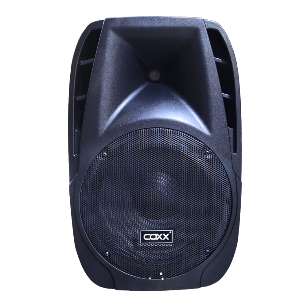 CAJA ACUSTICA  PARLANTE PASIVA 12 AK - 12P 600W COXX