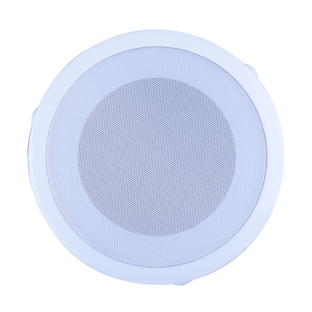 PARLANTE CIELO (REJ.8-PAR 6 TRANSFORMADOR EN LINEA) CARVERPRO    