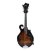 MANDOLINA ACUSTICA VIVALDI-1 8 CUERDAS MEISTEHAFT + ESTUCHE