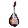 MANDOLINA SUNBURST M-8 C/BS + FUNDA MEISTEHAFT