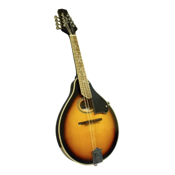 MANDOLINA SUNBURST + FUNDA BACH MEISTEHAFT