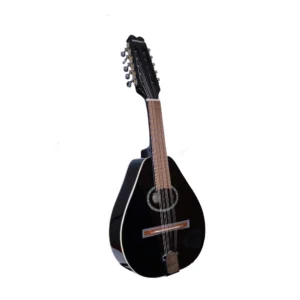 MANDOLINA 10CDA.NEGRO M10C/BK + FUNDA MEISTEHAFT