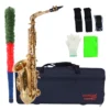 SAXO ALTO MODELO SA-50 ETINGER