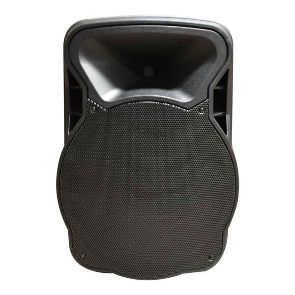 CAJA ACUSTICA PARLANTE 15´ PASIVA 800W MAX