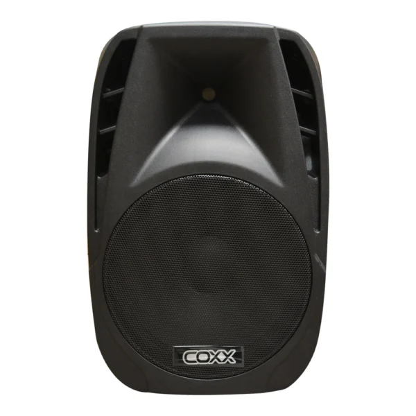 CAJA ACUSTICA PARLANTE PORTATIL 15C/2MIC  MODELO Q15UFRW COXX