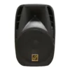 CAJA ACUSTICA PARLANTE PORTATIL 15  +2MICROFONOS YNPW-15-2MIC CIPRIANI