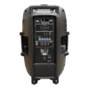 080MIX2089(3) CAJA ACUSTICA PARLANTE PORTATIL 15 + 2 MICROFONOS CCPR-032MIC CARVERPRO