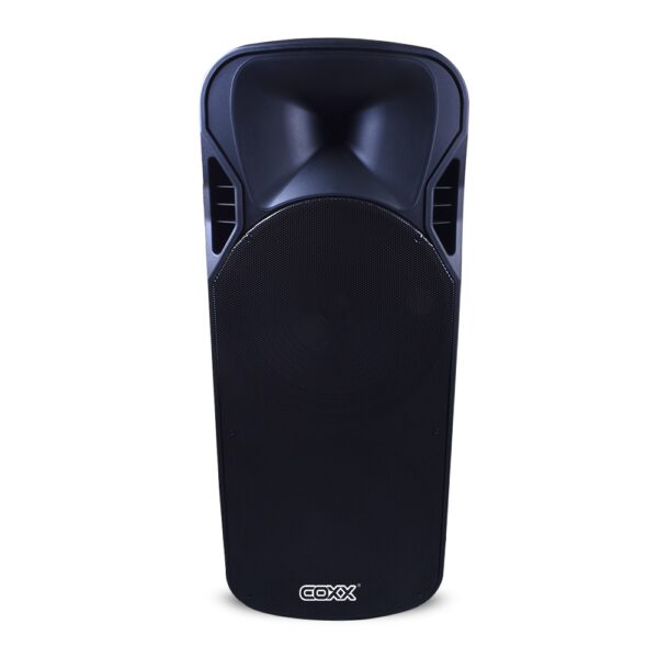 CAJA ACUSTICA PARLANTE PORTATIL -2X15 + 2 MICROFONOS MEE-214 MIC COXX