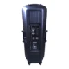 CAJA ACUSTICA PARLANTE PORTATIL -2X15 + 2 MICROFONOS MEE-214 MIC COXX