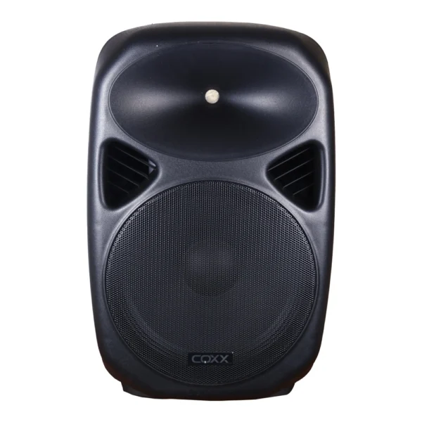 CAJA ACUSTICA PARLANTE 15´ PASIVA 700W MODELO LCSW1519P COXX