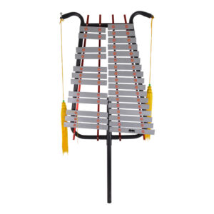 LIRA 29 NOTAS DELUXE PROFESIONAL CON ACCESORIOS PAT-267 RMX