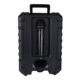 PARLANTE PORTATIL 12" BT/MP3/FM/LED MIC SING-E  ZQS12158