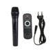3 PARLANTE PORTATIL 2X12" BT/MP3/FM/LED MIC SING-E SP-12250