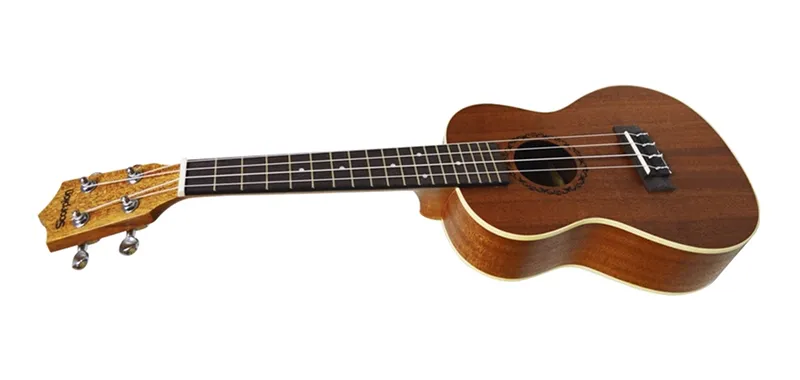Ukelele concierto Chile
