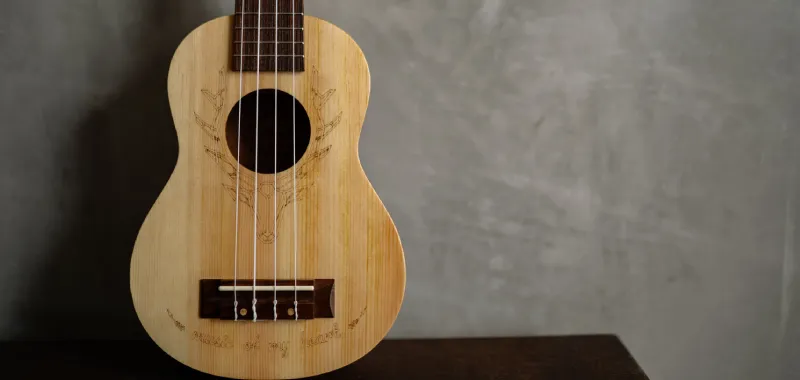 Ukelele economico Chile