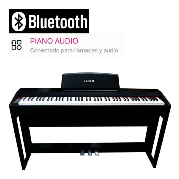 PIANO DIGITAL 88 TECLAS CON ACCIÓN MARTILLO EURO-7901 COXX